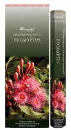 encnes_batons_eucalyptus.JPG